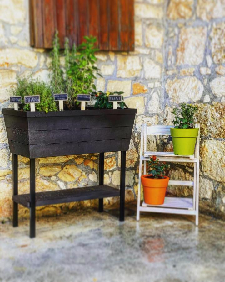 Pano Arodes Malietzis Houseヴィラ エクステリア 写真