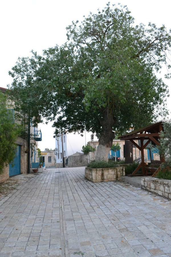 Pano Arodes Malietzis Houseヴィラ エクステリア 写真